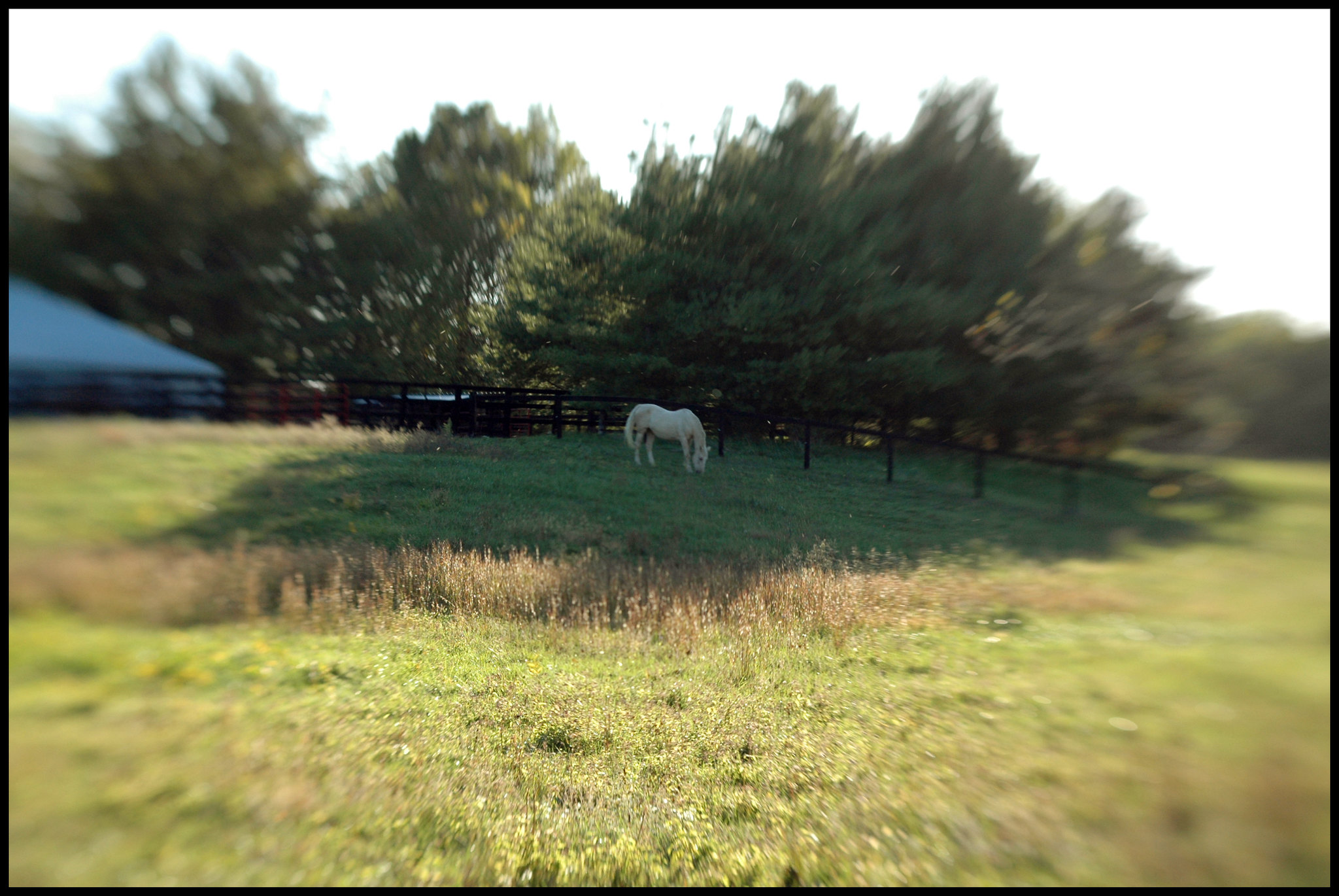 Energy — Laura Peiffle