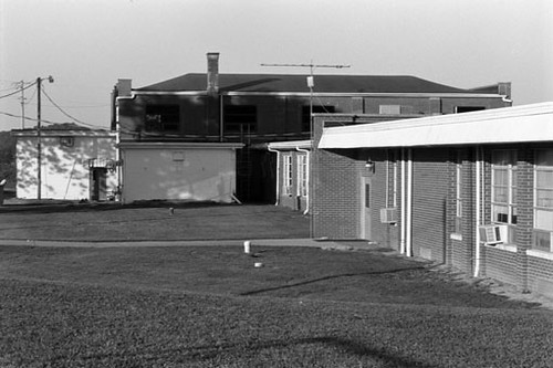 Lick Creek — Bridget Ryan