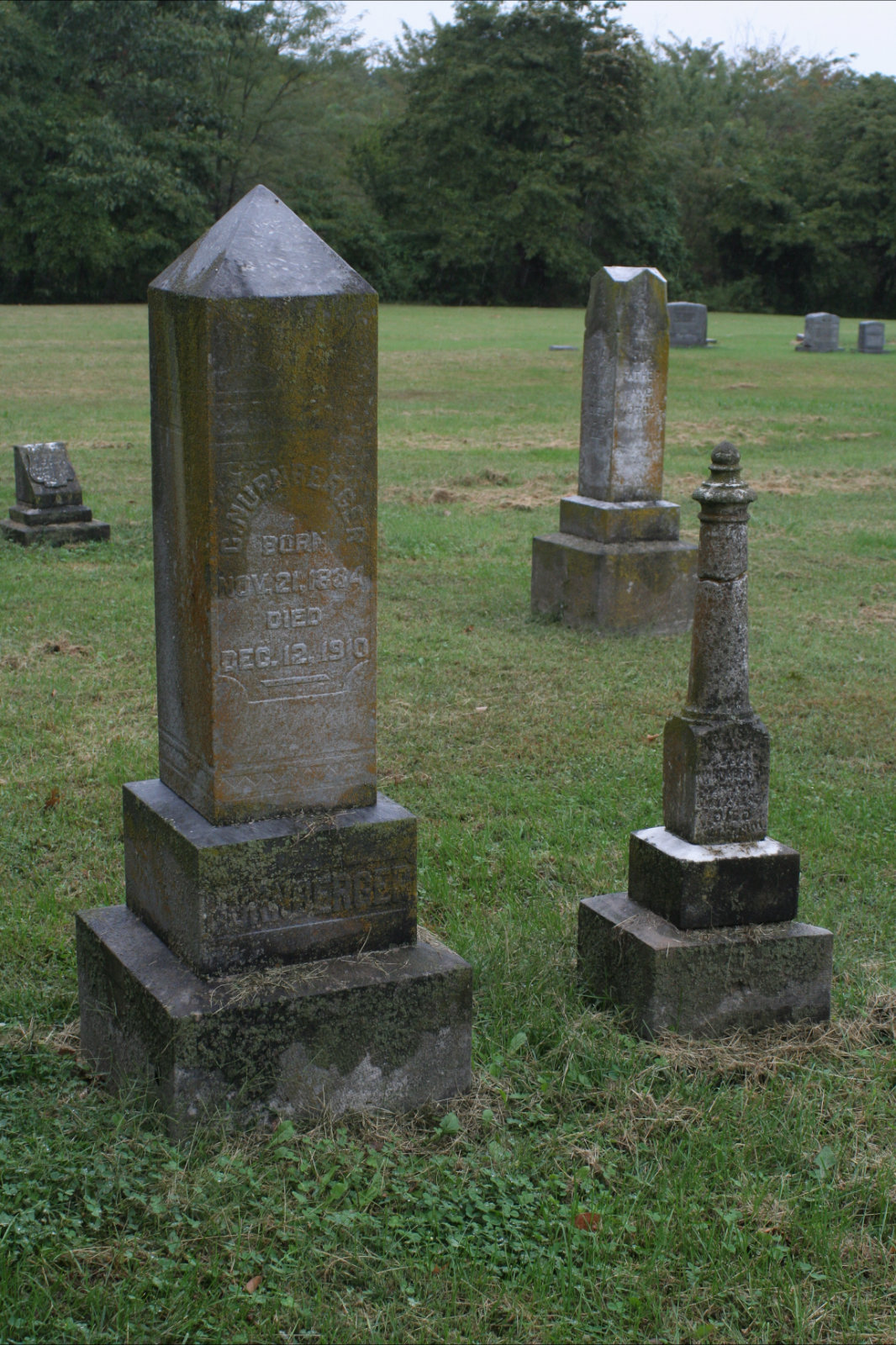 Schuline — Joan Madden